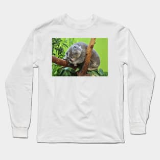 Koala At Rest Long Sleeve T-Shirt